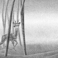 BAMBI COVER-polovica-A SMALL